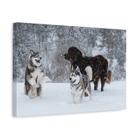 Northern Breeds Snow Day Canvas Wall Art