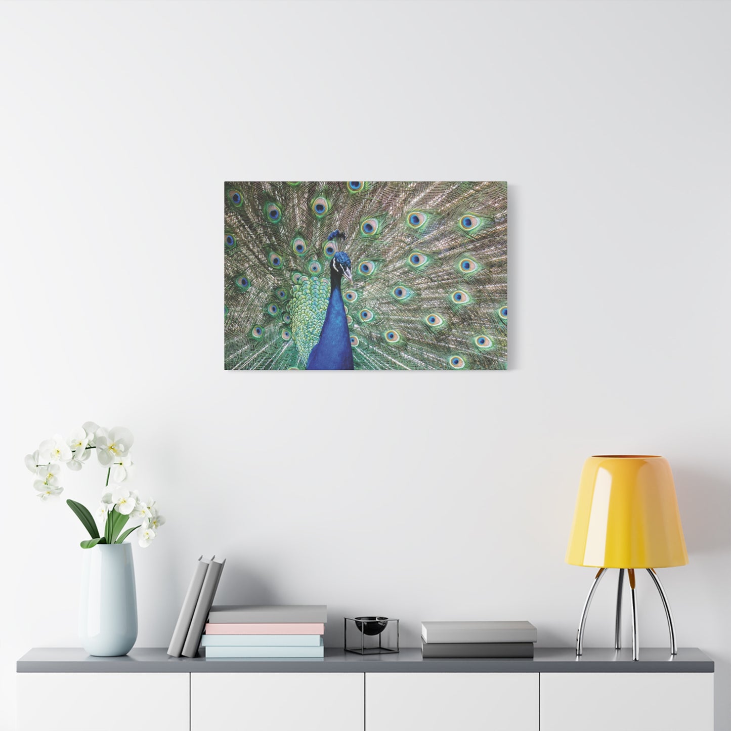 Fanned Peacock Canvas Wall Art