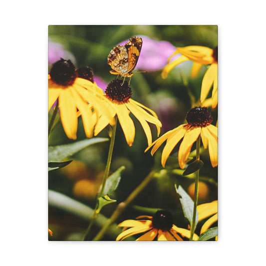 Butterfly Among the Sunflowers Canvas Wall Art