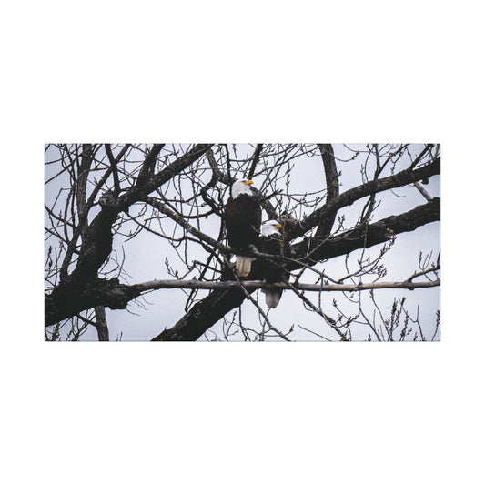 Winter Watch on the White River (Bald Eagles) Canvas Wall Art