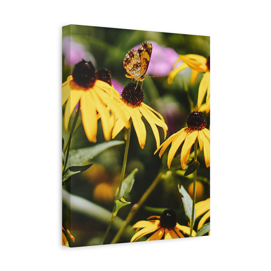 Butterfly Among the Sunflowers Canvas Wall Art