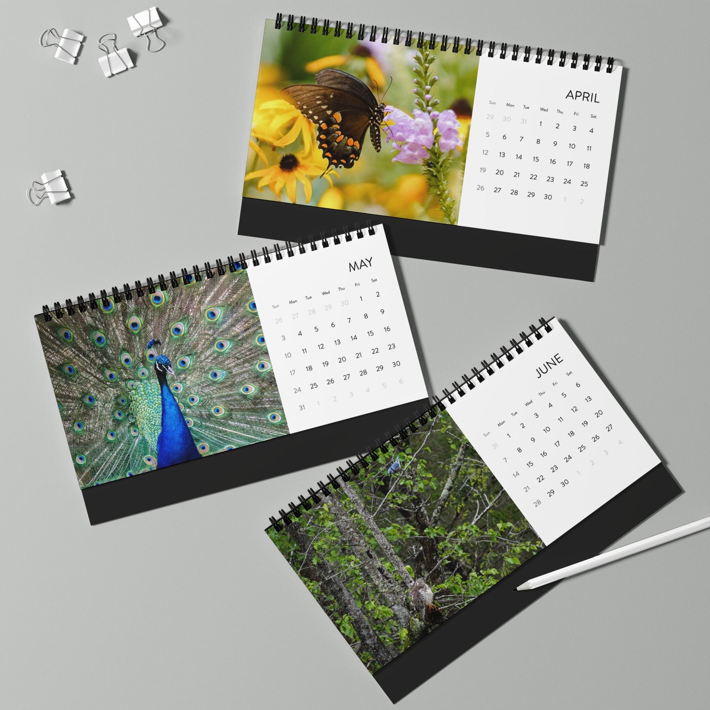 2026 Wildlife & Nature Desk Calendar