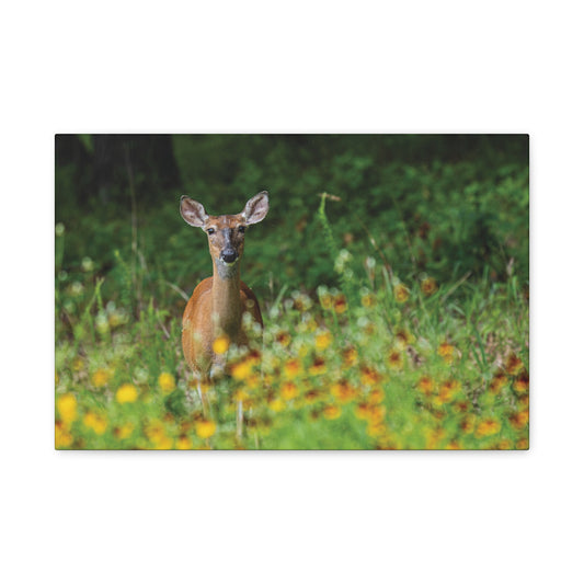 Wildflower Deer Canvas Wall Art