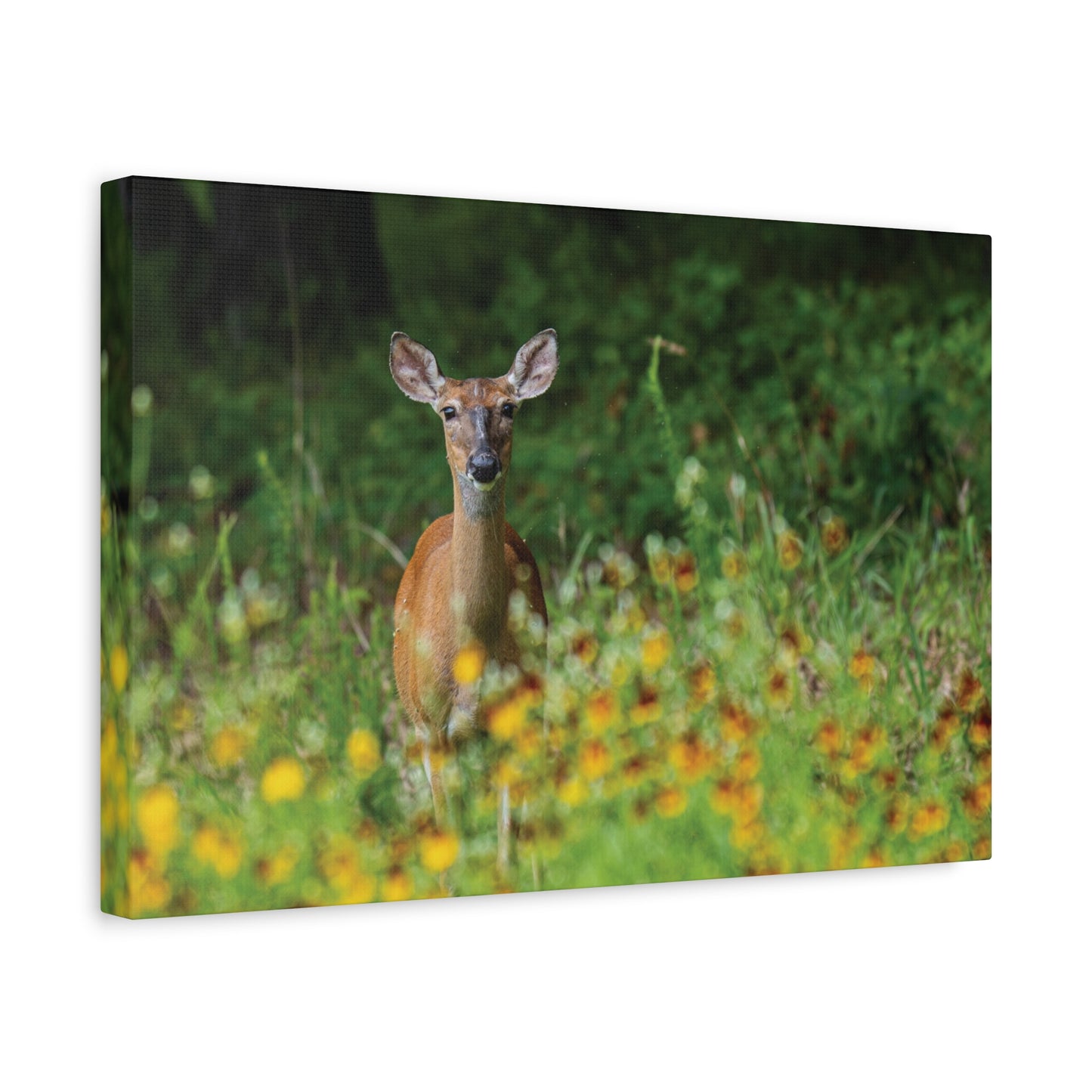 Wildflower Deer Canvas Wall Art
