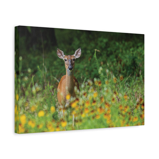 Wildflower Deer Canvas Wall Art